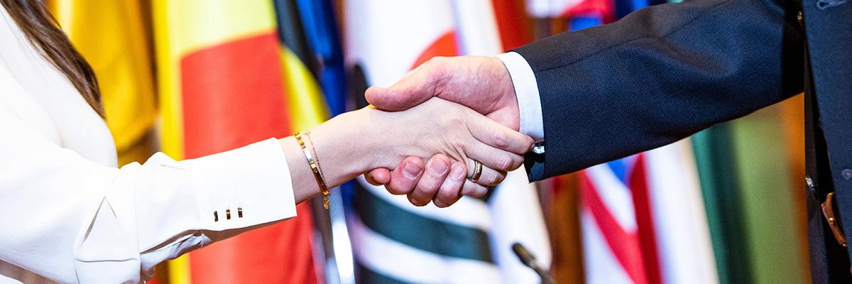 Handshake in front of flags